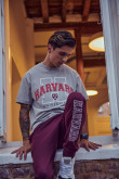 Camiseta, con estampado en frente, de Harvard