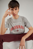 Camiseta, con estampado en frente, de Harvard