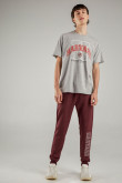 Camiseta, con estampado en frente, de Harvard