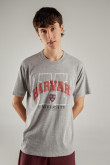 Camiseta, con estampado en frente, de Harvard