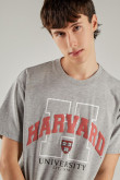 Camiseta, con estampado en frente, de Harvard
