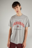 Camiseta, con estampado en frente, de Harvard