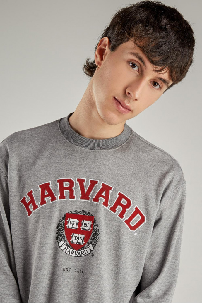 Buzo, con estampado en frente, de Harvard