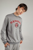 Buzo, con estampado en frente, de Harvard
