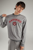 Buzo, con estampado en frente, de Harvard
