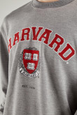 buzo-con-estampado-en-frente-de-harvard
