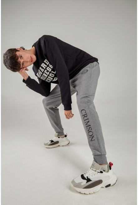 Pantalón, con estampado en frente, de Harvard