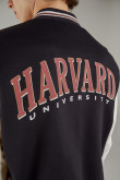 Chaqueta college Harvard