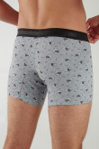 Boxer trunk estampado de Rick & Morty