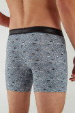 Boxer Midway brief estampado El laboratorio de Dexter