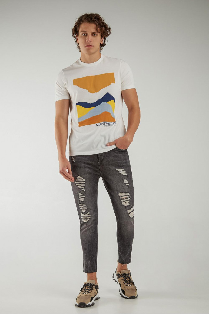 Camiseta básica manga corta con estampado