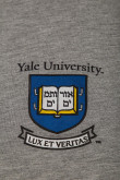 Camiseta, con estampado en frente, de Yale