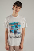 Camiseta estampada, cuello redondo, manga corta