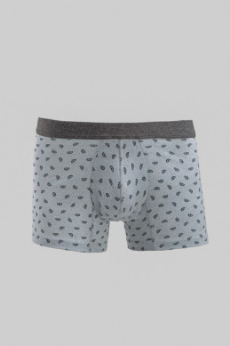 Boxer